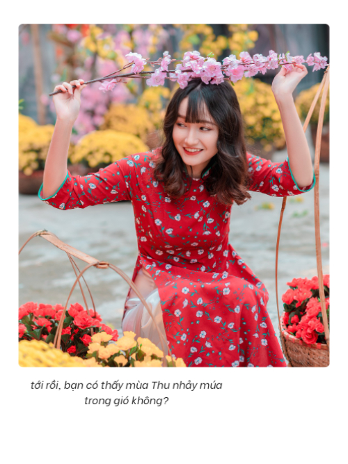 Mẫu thiết kế Bộ Ảnh Polaroid Tết, xuân, dễ thương, cute, thuần Việt, đơn giản 1759895645