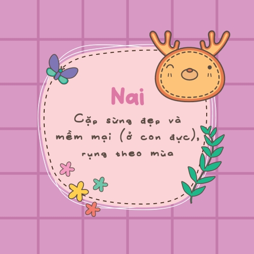 Mẫu thiết kế Photobook vuông Em bé, trẻ em, baby, kids, gia đình, family, dễ thương, cute 1759886354