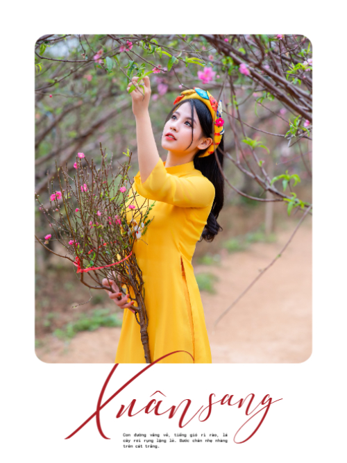 Mẫu thiết kế Bộ Ảnh Polaroid Tết, Tết 2025, Xuân, đơn giản, dễ thương, cute 1759895644
