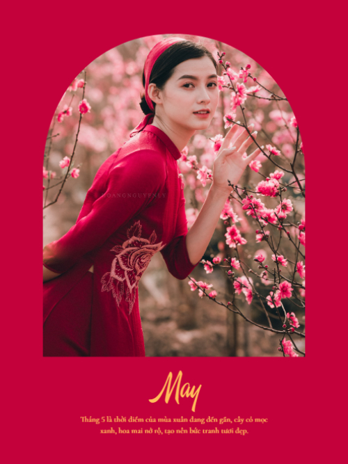 Mẫu thiết kế Bộ Ảnh Polaroid Thanh xuân, cô gái, girl, đơn giản, hiện đại, tết, xuân, 2025 1759895643