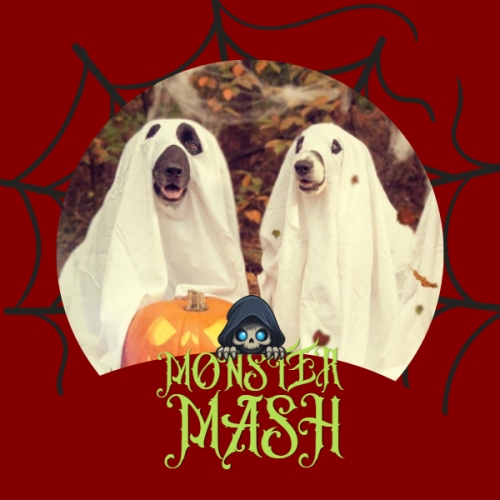 Mẫu thiết kế Ảnh đại diện Zalo Halloween, lễ hội ma quái, sự kiện, event, dễ thương, cute, chibi, hoạt hình, cartoon 1761379451