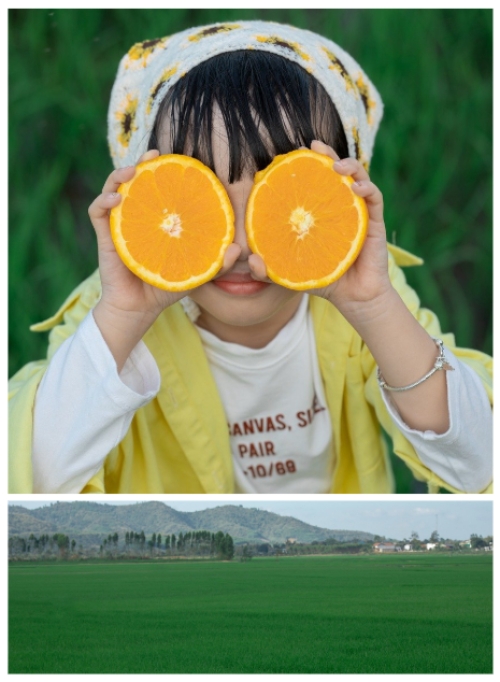 Mẫu thiết kế Photobook dọc Baby, em bé, gia đình, family, đơn giản 1759895224