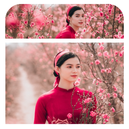 Mẫu thiết kế Photobook vuông Cá nhân, nhân vật, personal style, signature 1759885752