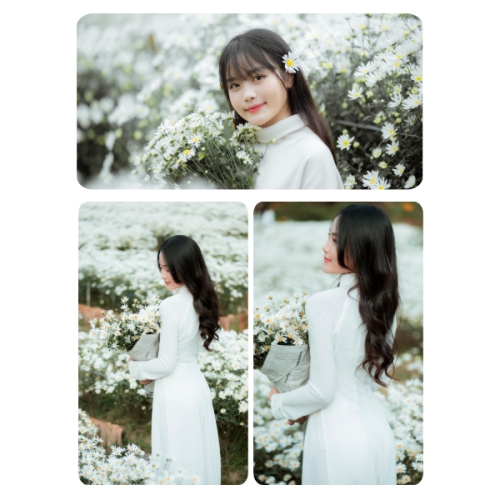 Mẫu thiết kế Photobook vuông Cá nhân, nhân vật, personal style, signature 1759885752