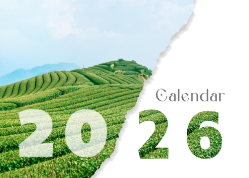 Mẫu thiết kế Lịch để bàn Tết, Xuân, Bính ngọ, năm 2026, 2026, hiện đại, modern, đơn giản, simple 1763579033