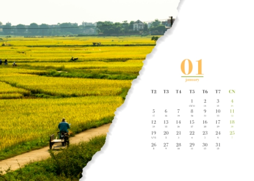 Mẫu thiết kế Lịch để bàn Tết, Xuân, Bính ngọ, năm 2026, 2026, hiện đại, modern, đơn giản, simple 1763584217