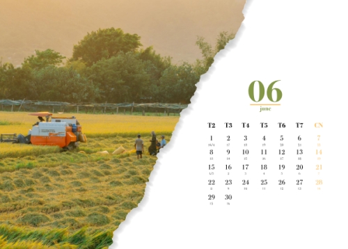 Mẫu thiết kế Lịch để bàn Tết, Xuân, Bính ngọ, năm 2026, 2026, hiện đại, modern, đơn giản, simple 1763584217