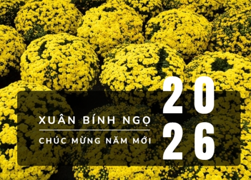 Mẫu thiết kế Lịch để bàn Tết, Xuân, Bính Ngọ, năm 2026, 2026, hiện đại, sang trọng, modern 1763579033