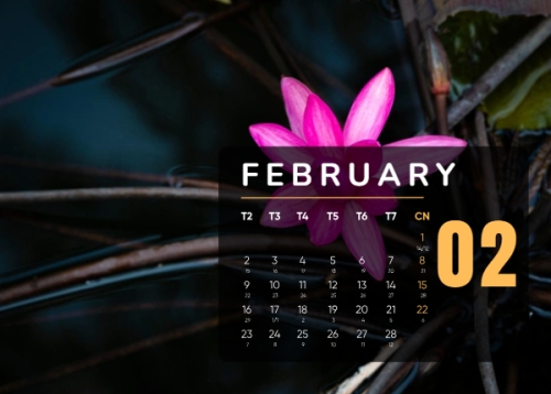 Mẫu thiết kế Lịch để bàn Tết, Xuân, Bính Ngọ, năm 2026, 2026, hiện đại, sang trọng, modern 1763584306