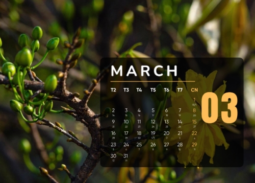 Mẫu thiết kế Lịch để bàn Tết, Xuân, Bính Ngọ, năm 2026, 2026, hiện đại, sang trọng, modern 1763584306