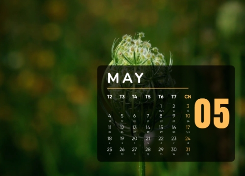 Mẫu thiết kế Lịch để bàn Tết, Xuân, Bính Ngọ, năm 2026, 2026, hiện đại, sang trọng, modern 1763584306