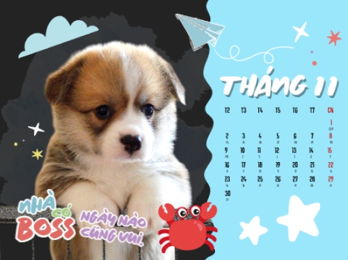 Mẫu thiết kế Lịch để bàn Thú cưng dễ thương 1766782736