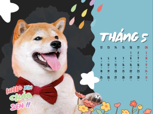 Mẫu thiết kế Lịch để bàn Thú cưng dễ thương 1766782736