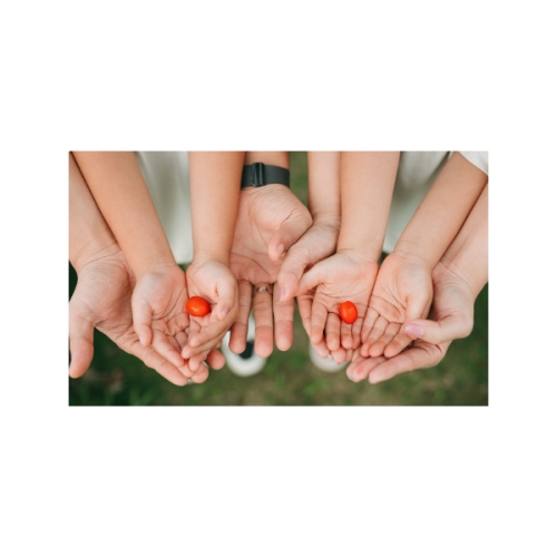 Mẫu thiết kế Photobook vuông Tình yêu, love, Gia đình, family, dễ thương, cute 1765153587