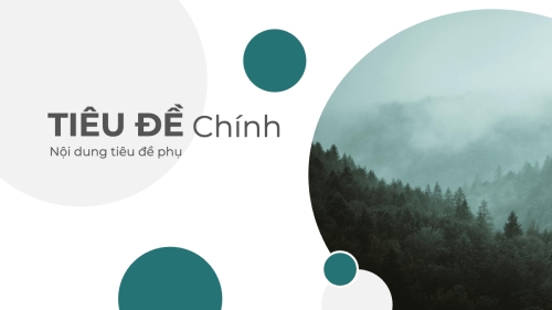 Mẫu thiết kế Bài thuyết trình Thiên nhiên miền nhiệt đới 1769668793