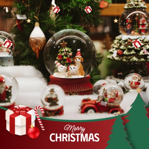 Mẫu thiết kế Khung sản phẩm Quả cầu tuyết 1770459348