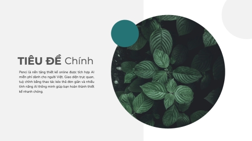 Mẫu thiết kế Bài thuyết trình Thiên nhiên miền nhiệt đới 1773677008