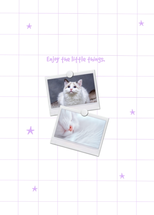 Mẫu thiết kế Sổ tay Dễ thương, cute, cat, mèo, cá nhân, nhân vật, personal style, signature	 1774519459
