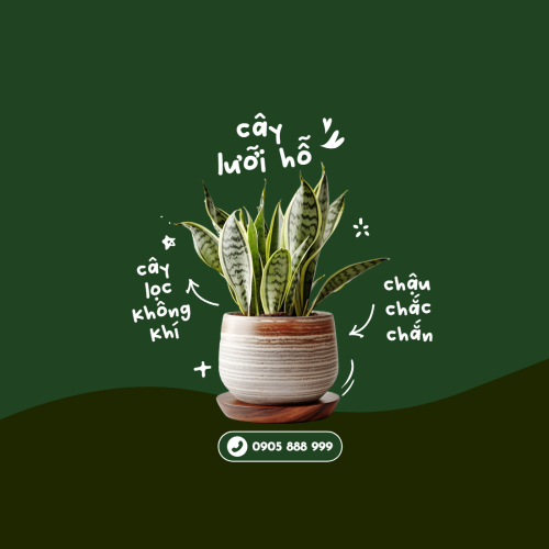 Mẫu thiết kế Nhãn dán Decal Nông sản, agricultural, farm, tree, pots, cây, cây cảnh, lưỡi hổ 1776935716