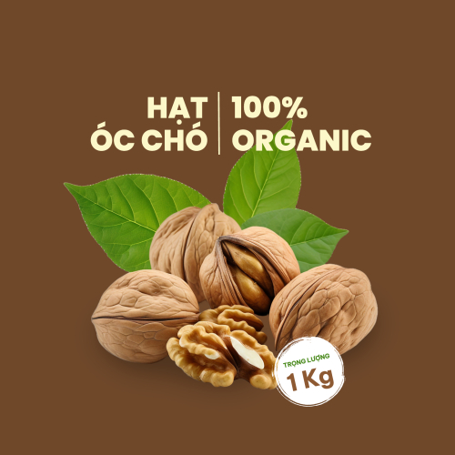 Mẫu thiết kế Nhãn dán Decal Đồ ăn, food, thực phẩm, ẩm thực, món ăn, F&B, thức ăn, nông sản, hạt óc chó, walnut 1778451977