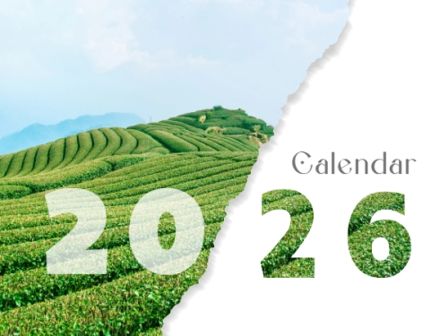 Mẫu thiết kế Lịch để bàn Xin chào 2026 1778442329
