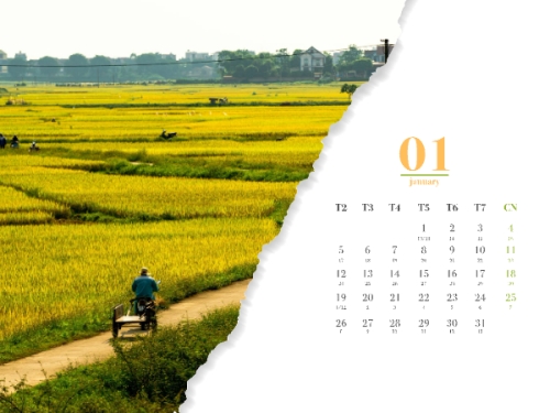Mẫu thiết kế Lịch để bàn Xin chào 2026 1778451477