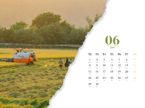 Mẫu thiết kế Lịch để bàn Xin chào 2026 1778451477