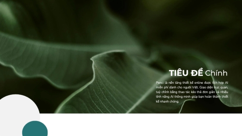 Mẫu thiết kế Bài thuyết trình Thiên nhiên miền nhiệt đới 1781547824