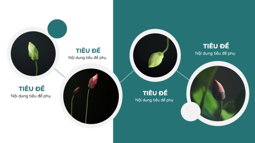 Mẫu thiết kế Bài thuyết trình Thiên nhiên miền nhiệt đới 1781547824