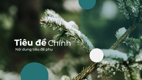 Mẫu thiết kế Bài thuyết trình Thiên nhiên miền nhiệt đới 1781547824