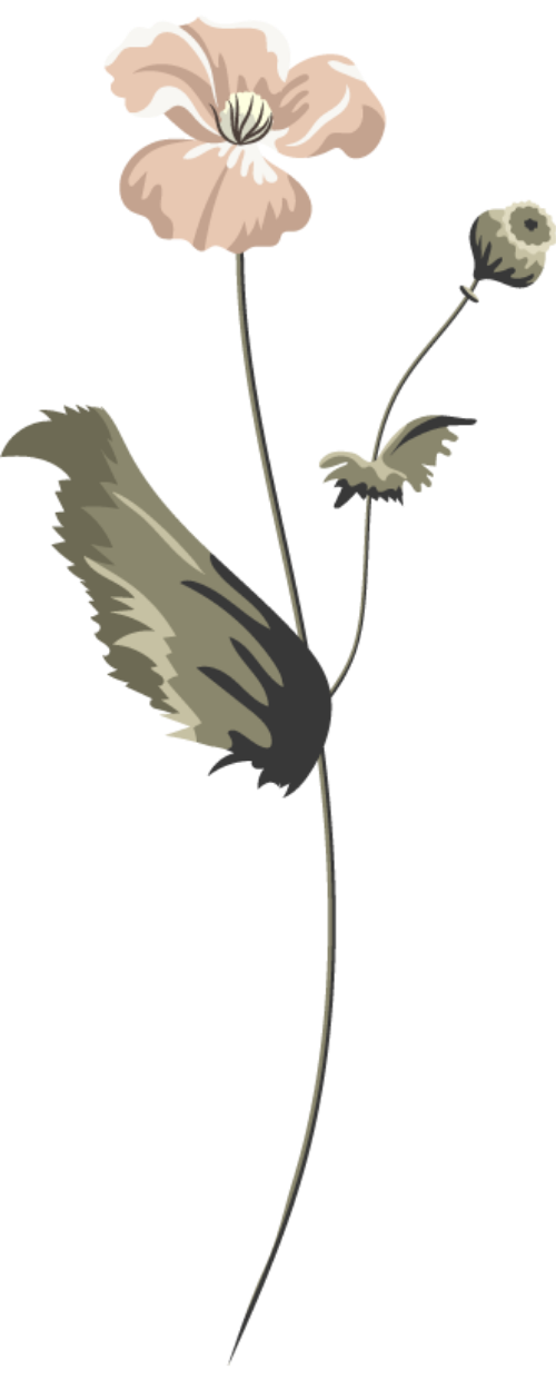 Đồ họa PNG và Vector Cây hoa, hoa lá 5 - Penci.vn