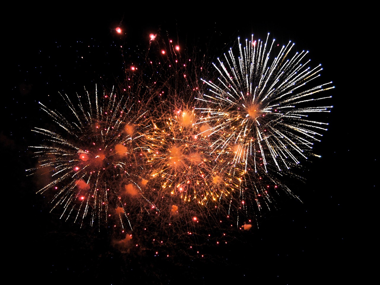 Pháo hoa, firework, pháo, nền, background, sự kiện - christels (2)